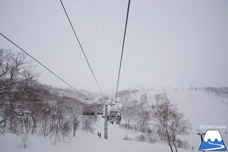 ニセコマウンテンリゾート グラン・ヒラフ　粉雪と千歳ワイナリーの美味しいワインに酔う♪